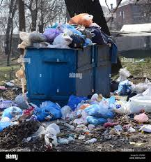 Best Hoarding Cleanup  in Holden, MO