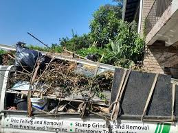 Best Office Cleanout  in Holden, MO