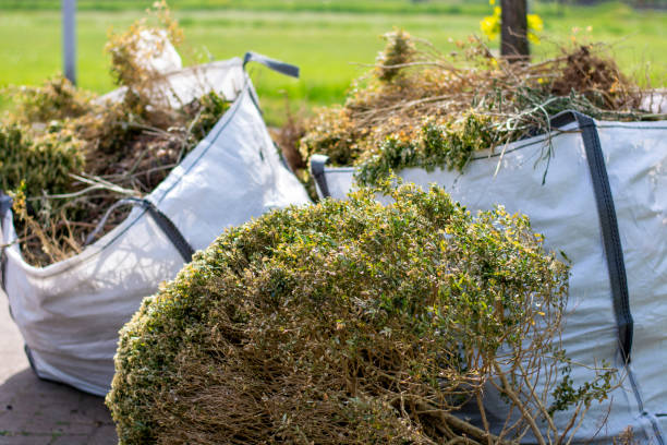 Best Scrap Metal Removal  in Holden, MO